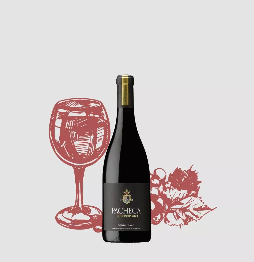 PACHECA SUPERIOR ROT