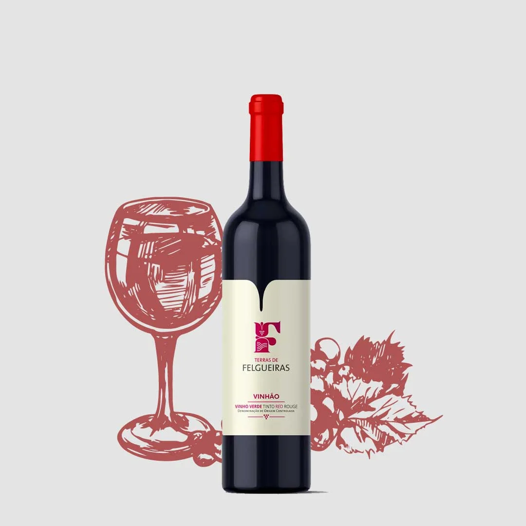 Terras de Felgueiras Vinhão Rotwein